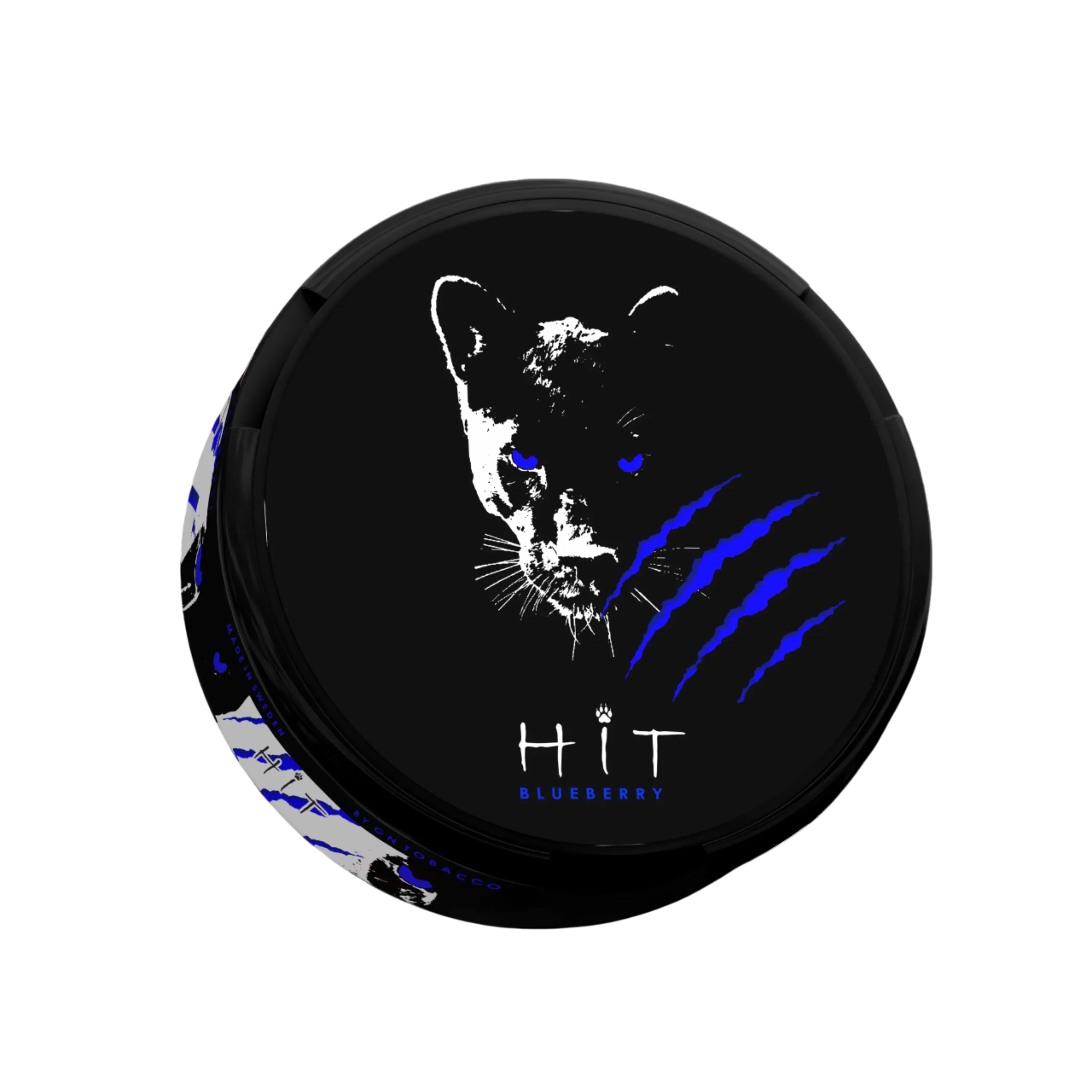 Blueberry Hit Bolsas de Nicotina 15mg