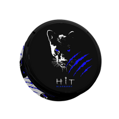 Blueberry Hit Bolsas de Nicotina 15mg