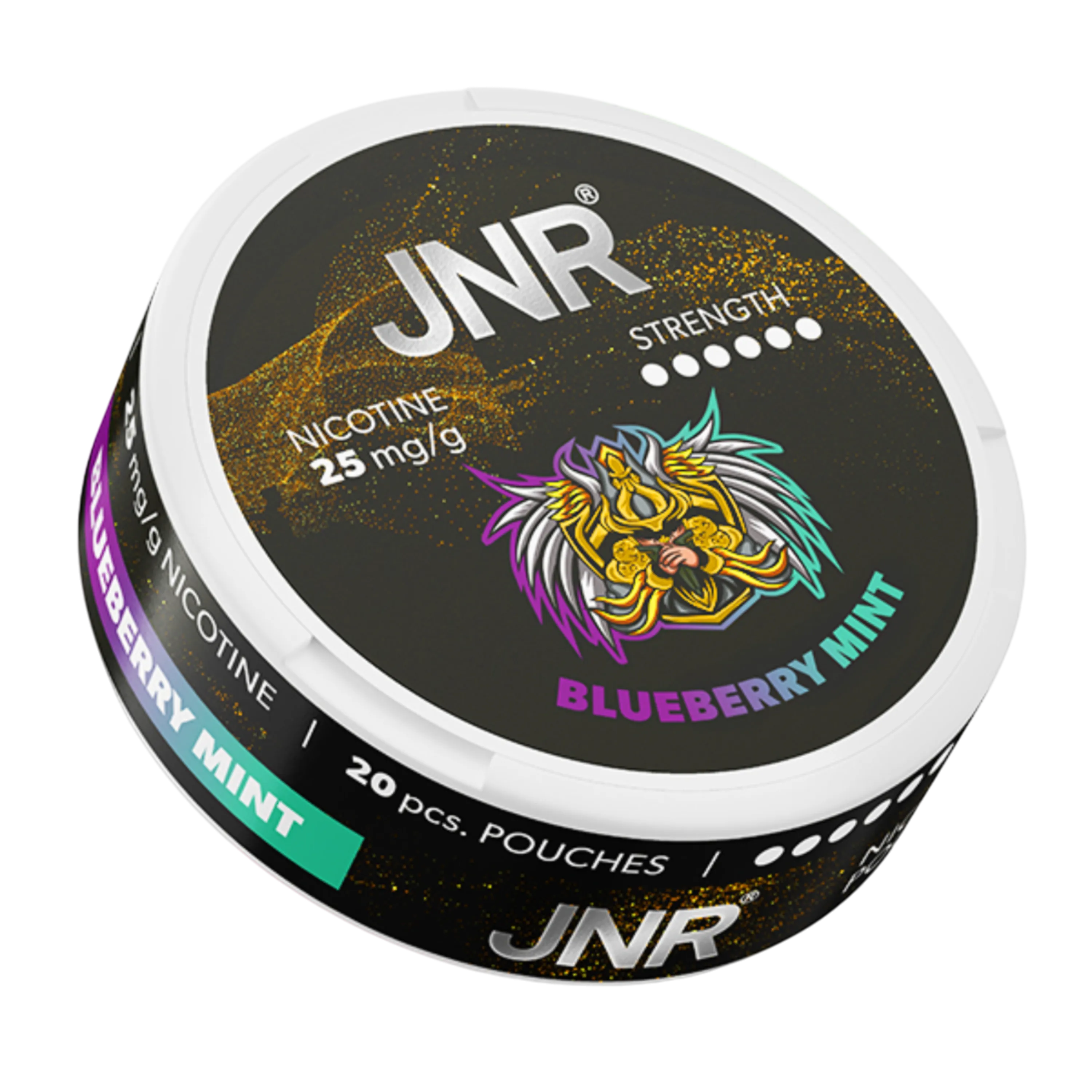 Blueberry Mint JNR Nicotine Pouches 25mg