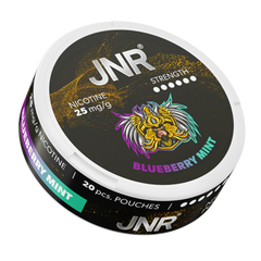Blueberry Mint JNR Nicotine Pouches 25mg