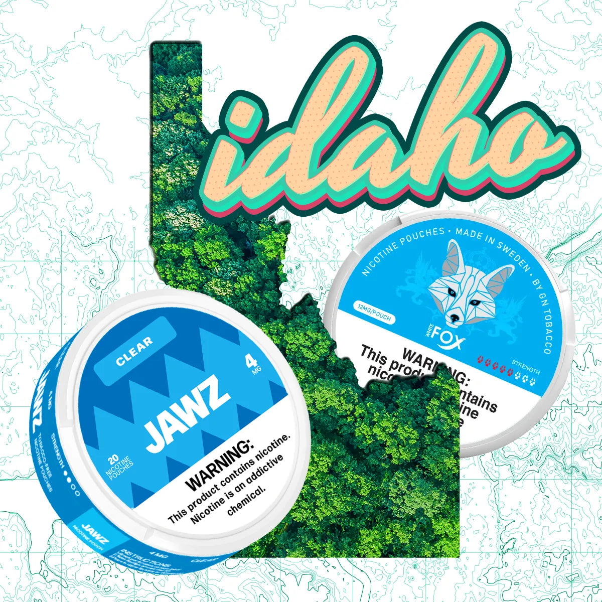 Nicotine Pouches Store in Idaho | Fast & Free Shipping - N Pouches