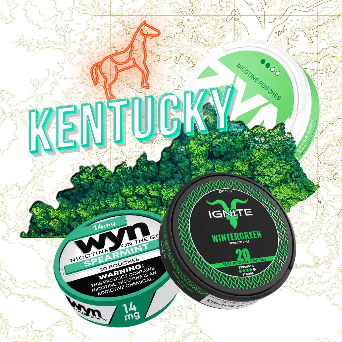 Nicotine Pouches Store in Kentucky | Fast & Free Shipping