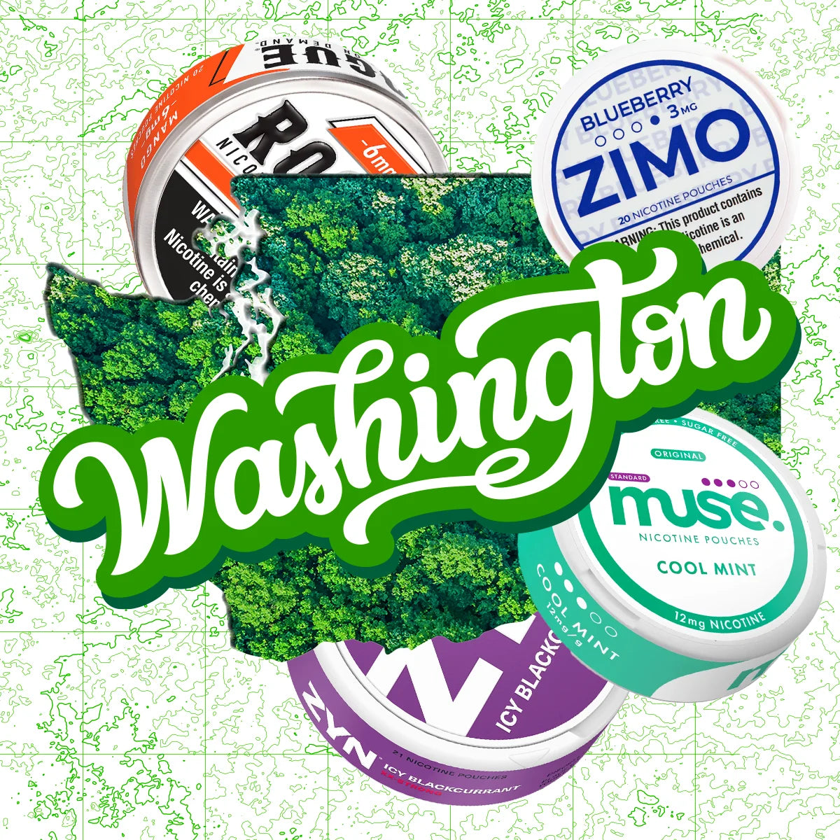 Nicotine Pouches Store in Washington | Fast & Free Shipping - N Pouches Nicotine Pouches Store in Washington | Fast & Free Shipping - N Pouches