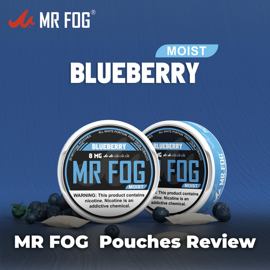 Mr Fog Nicotine Pouches