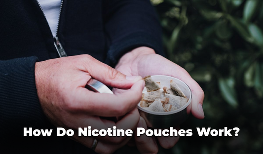 How Do Nicotine Pouches Work