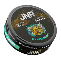 Ice Spearmint JNR Nicotine Pouches 25mg