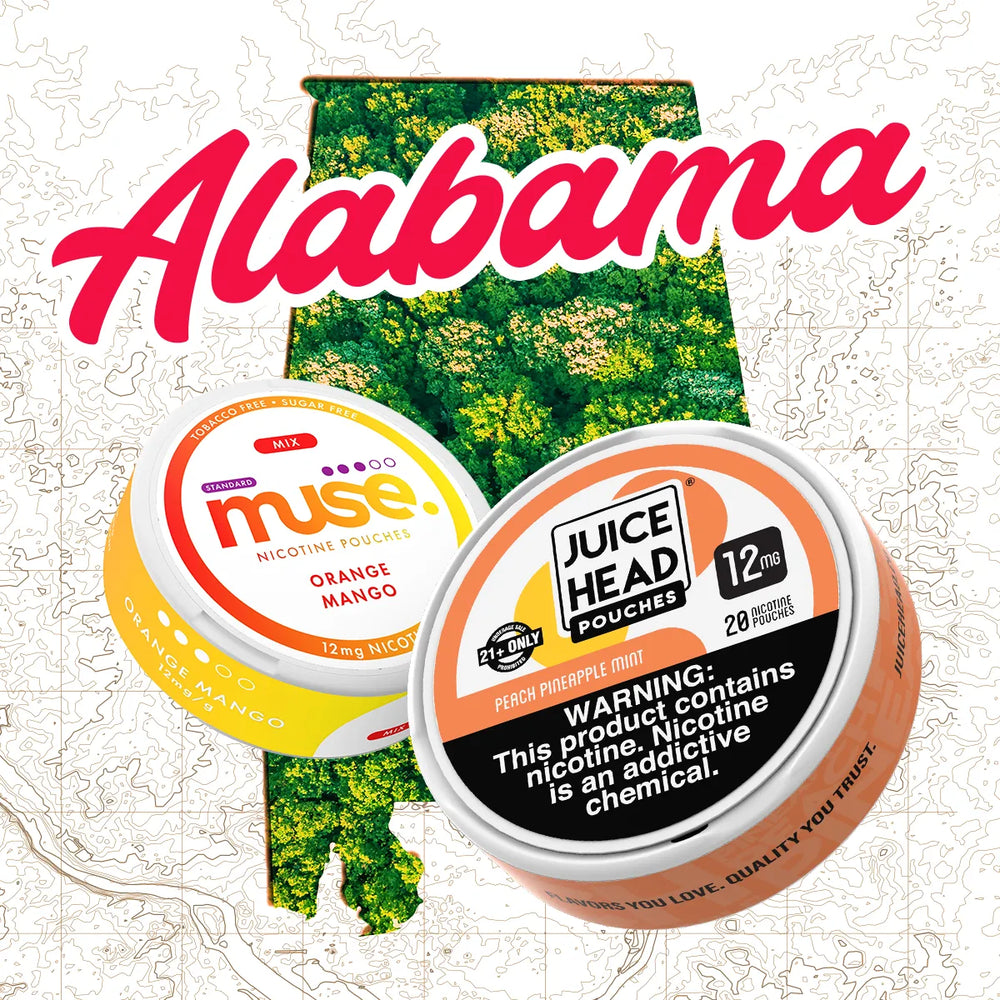 Top Nicotine Pouches in Alabama: Find Your Option