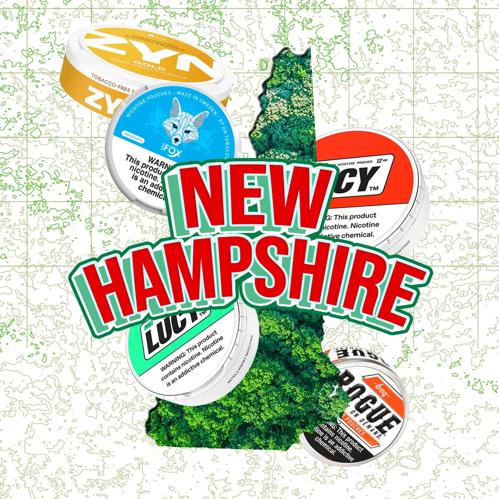 Nicotine Pouches Store in New Hampshire | Fast & Free Shipping - N Pouches Nicotine Pouches Store in New Hampshire | Fast & Free Shipping - N Pouches