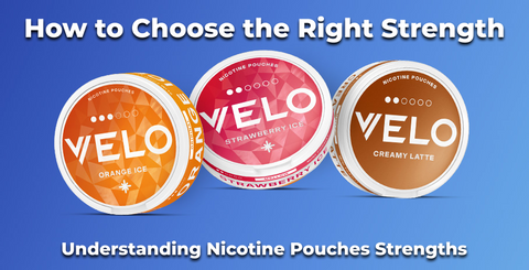 Understanding Nicotine Pouches Strengths