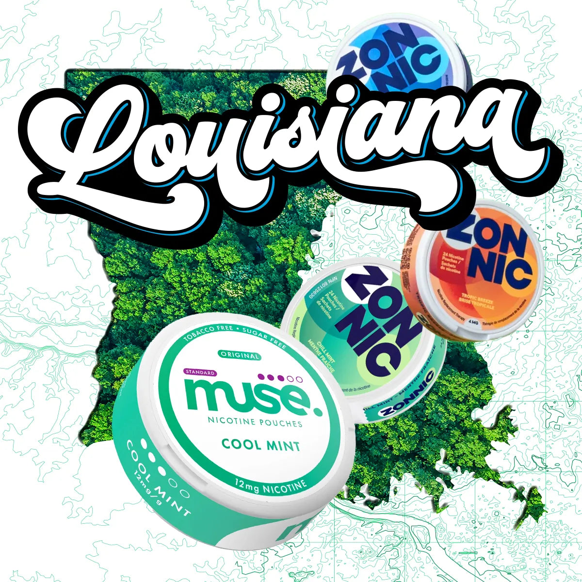 Nicotine Pouches in Louisiana