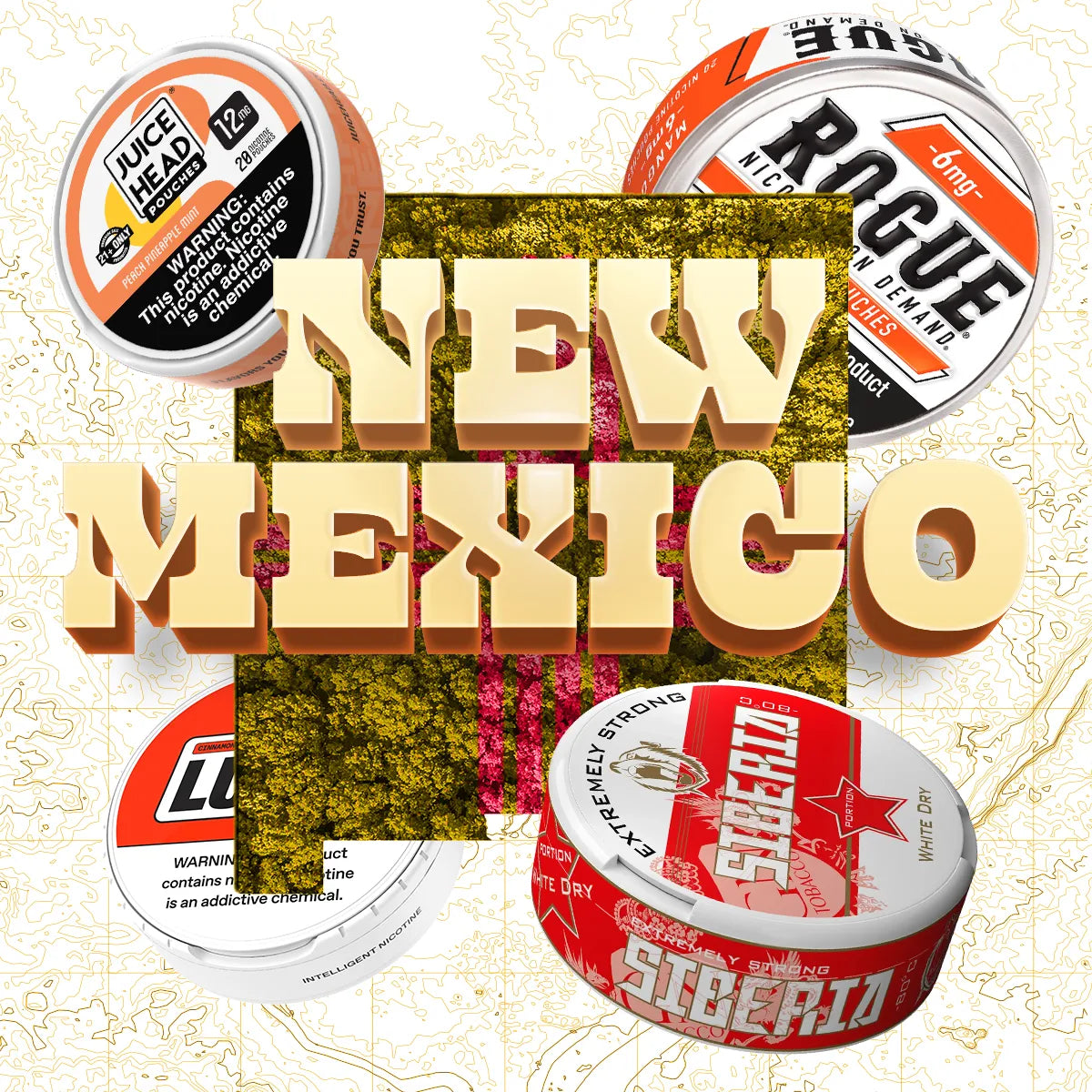 New Mexico nicotine pouches