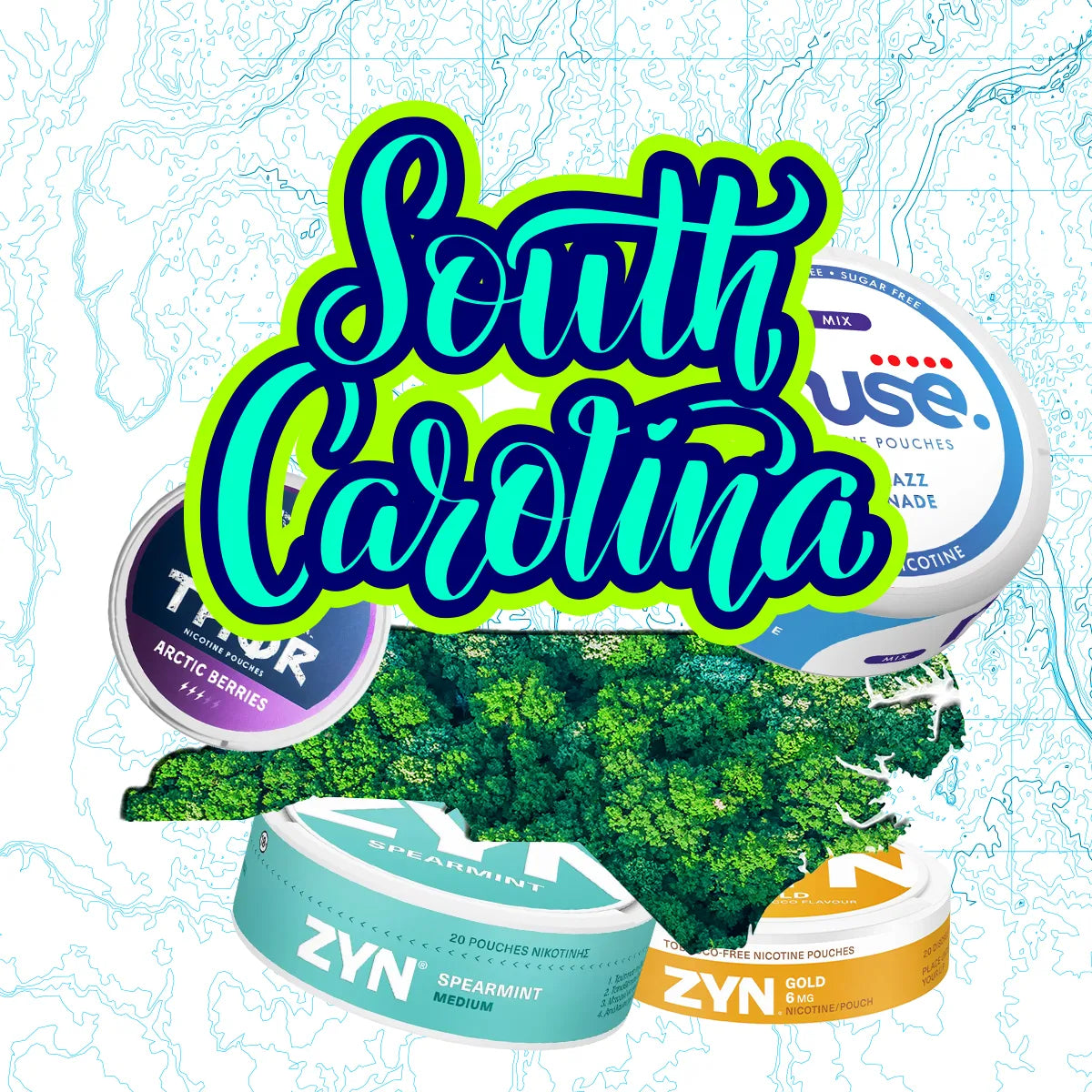 Nicotine Pouches in South Carolina