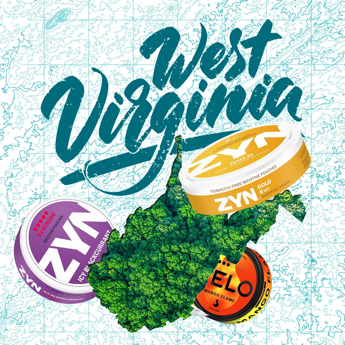 Nicotine Pouches Online in West Virginia