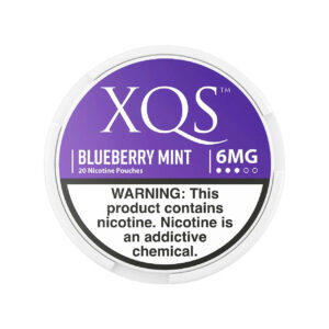 Blueberry Mint XQS Nicotine Pouches 6mg