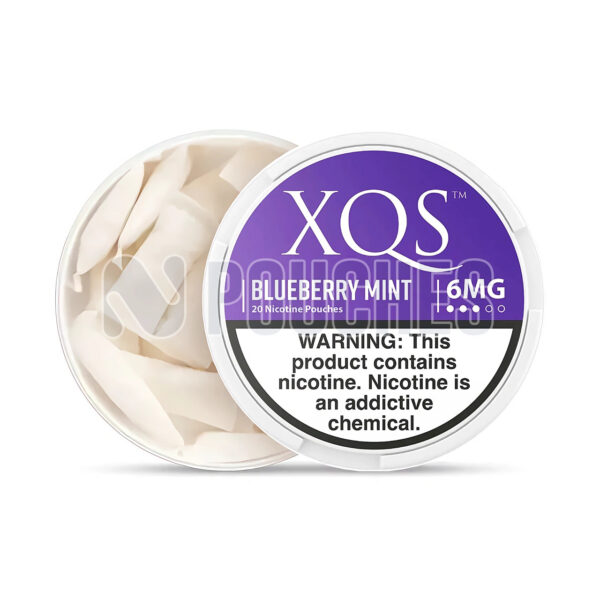 Open Box Blueberry Mint XQS Nicotine Pouches 6mg