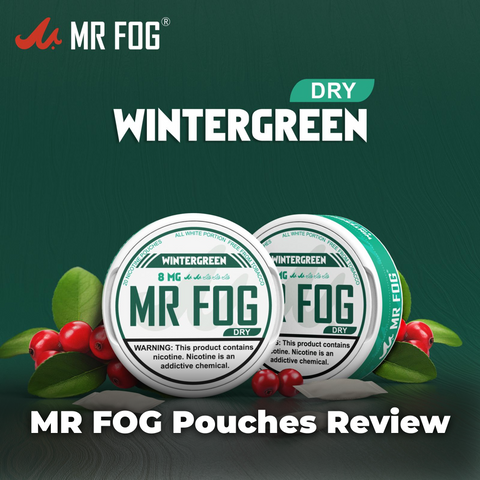 Mr Fog Nicotine Pouches