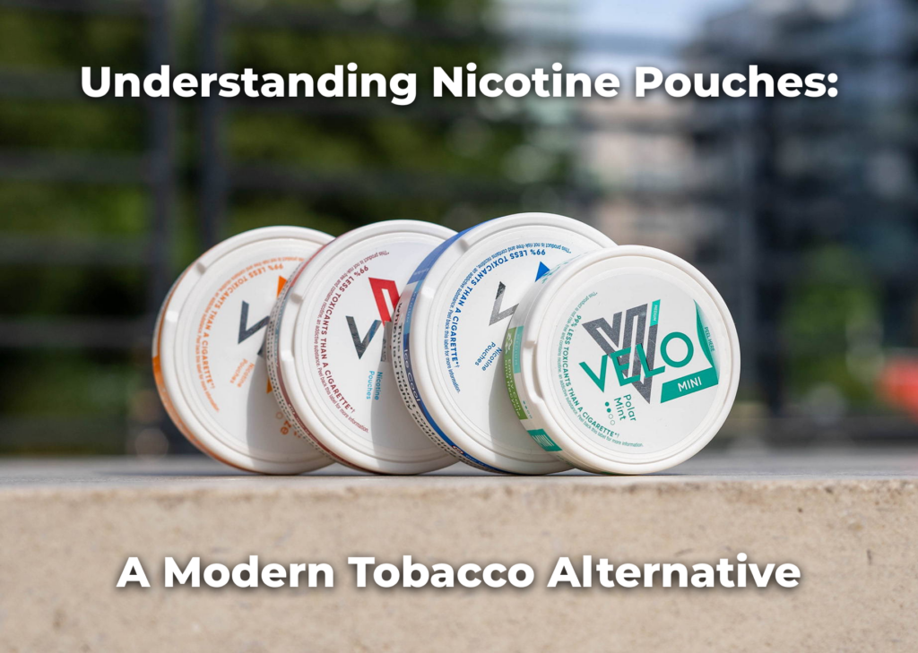 what is nic pouches