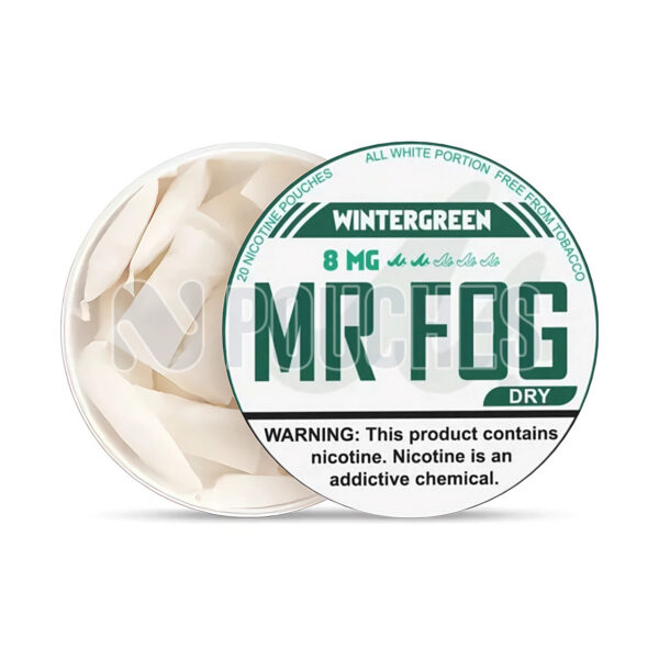 Open Box Wintergreen Mr Fog Nicotine Pouches 8mg Dry